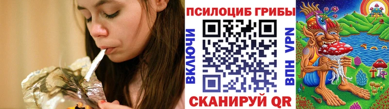 Псилоцибиновые грибы мицелий где продают наркотики Бийск